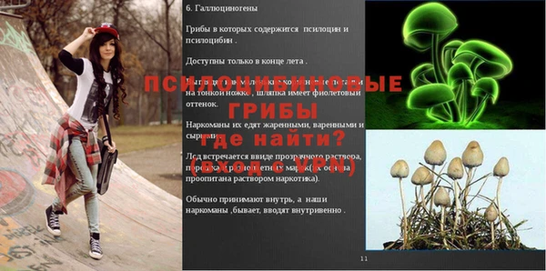 PSILOCYBIN Баксан