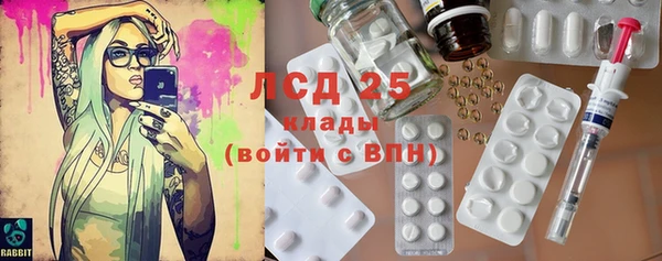 PSILOCYBIN Баксан